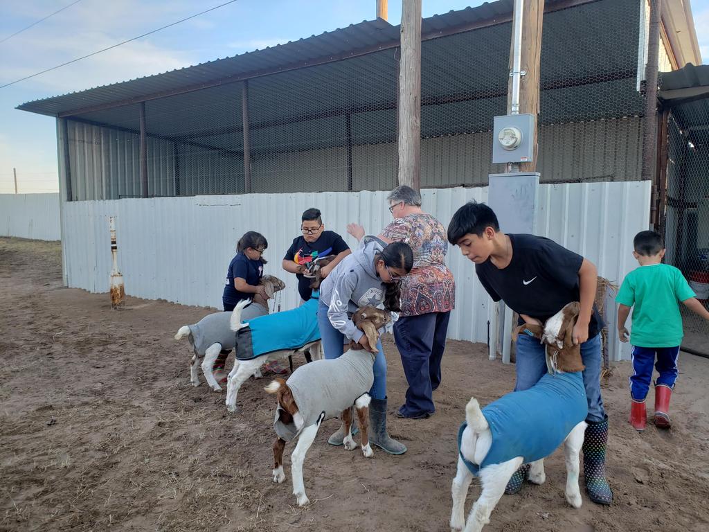 Junior FFA students practicing showmanship skills