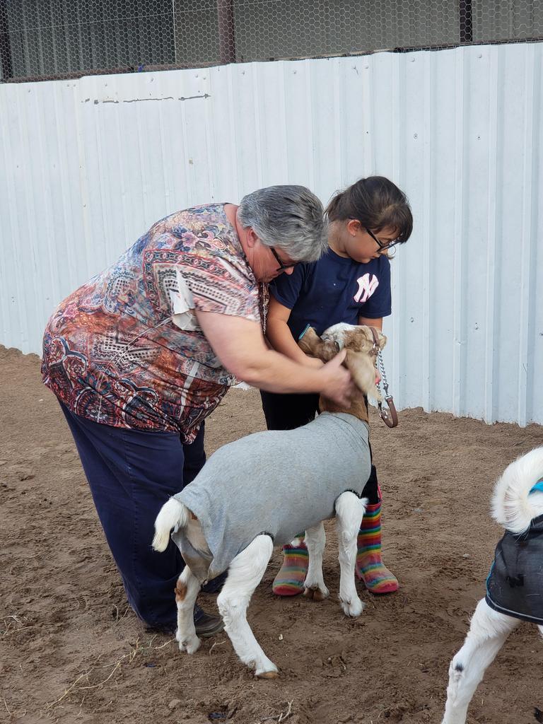 Junior FFA students practicing showmanship skills