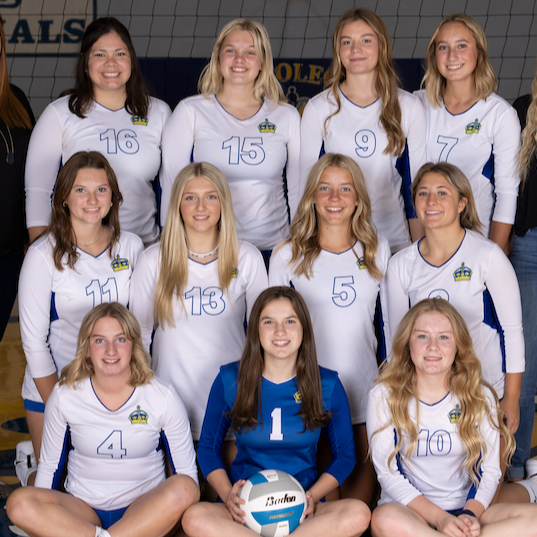 Volleyball Napoleon Public School