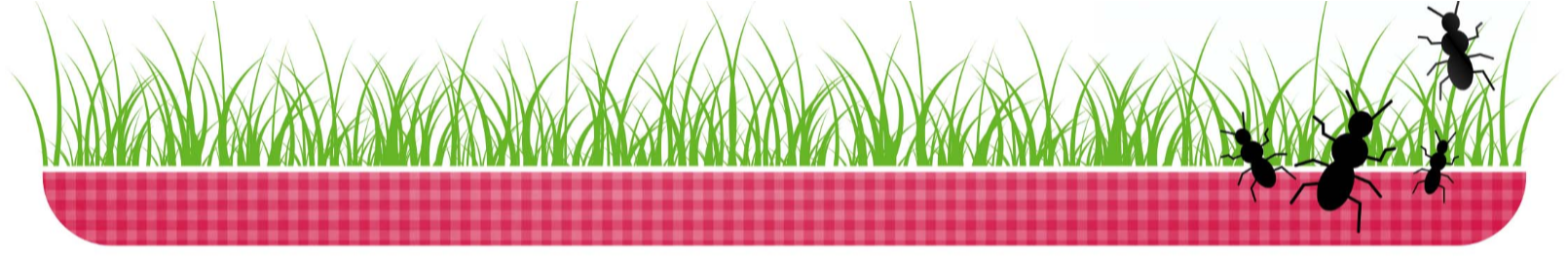 Grass, picnic tablecloth, and ants