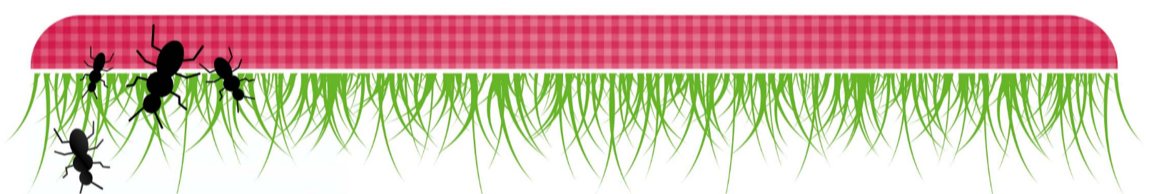 Grass, picnic tablecloth, and ants