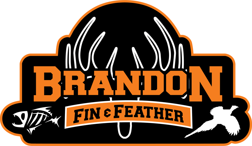 Brandon Fin and Feather