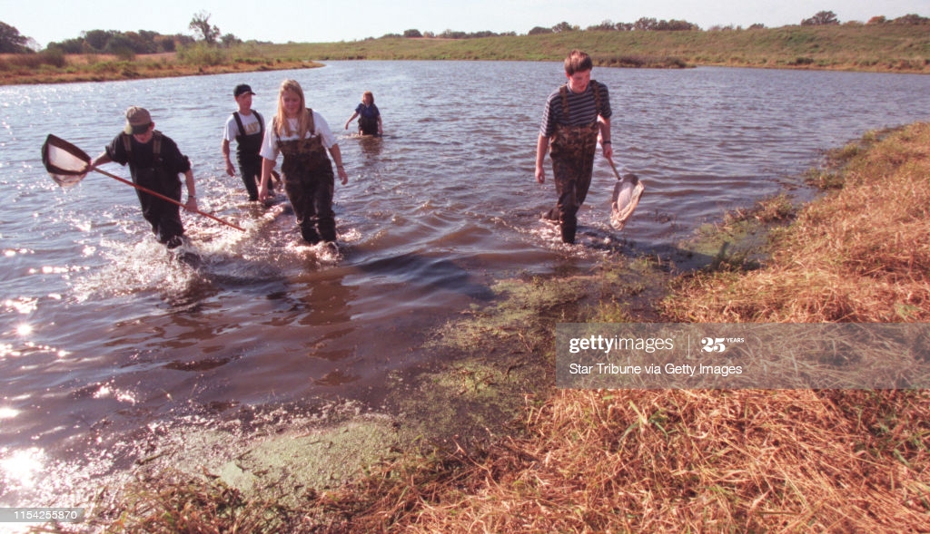 Finding the deformed frogs