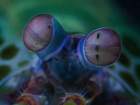 National Aquarium