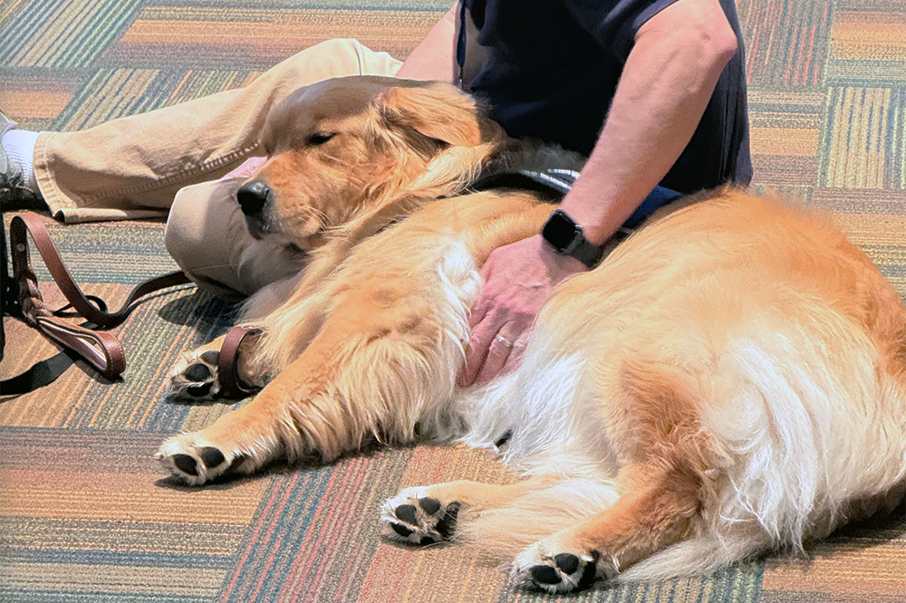 Clark-Pleasant Community Schools Indiana