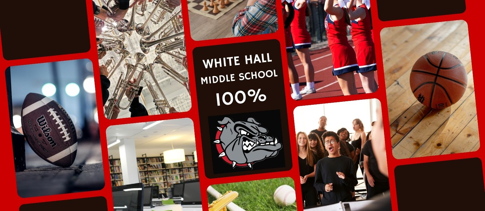 WHMS-100%