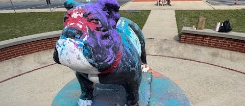 The WHHS mascot after the Project Renew Color Run!