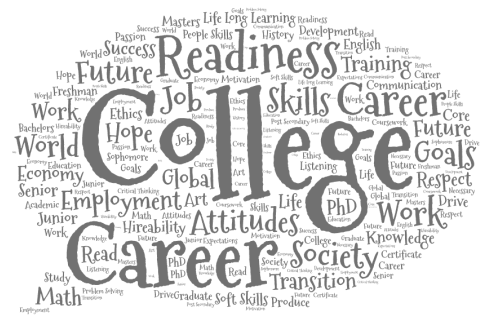 college.career