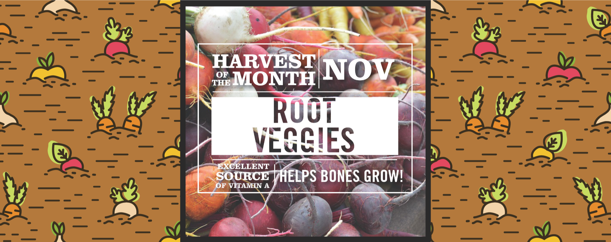 Harvest of the Month, root vegetables growing in the ground