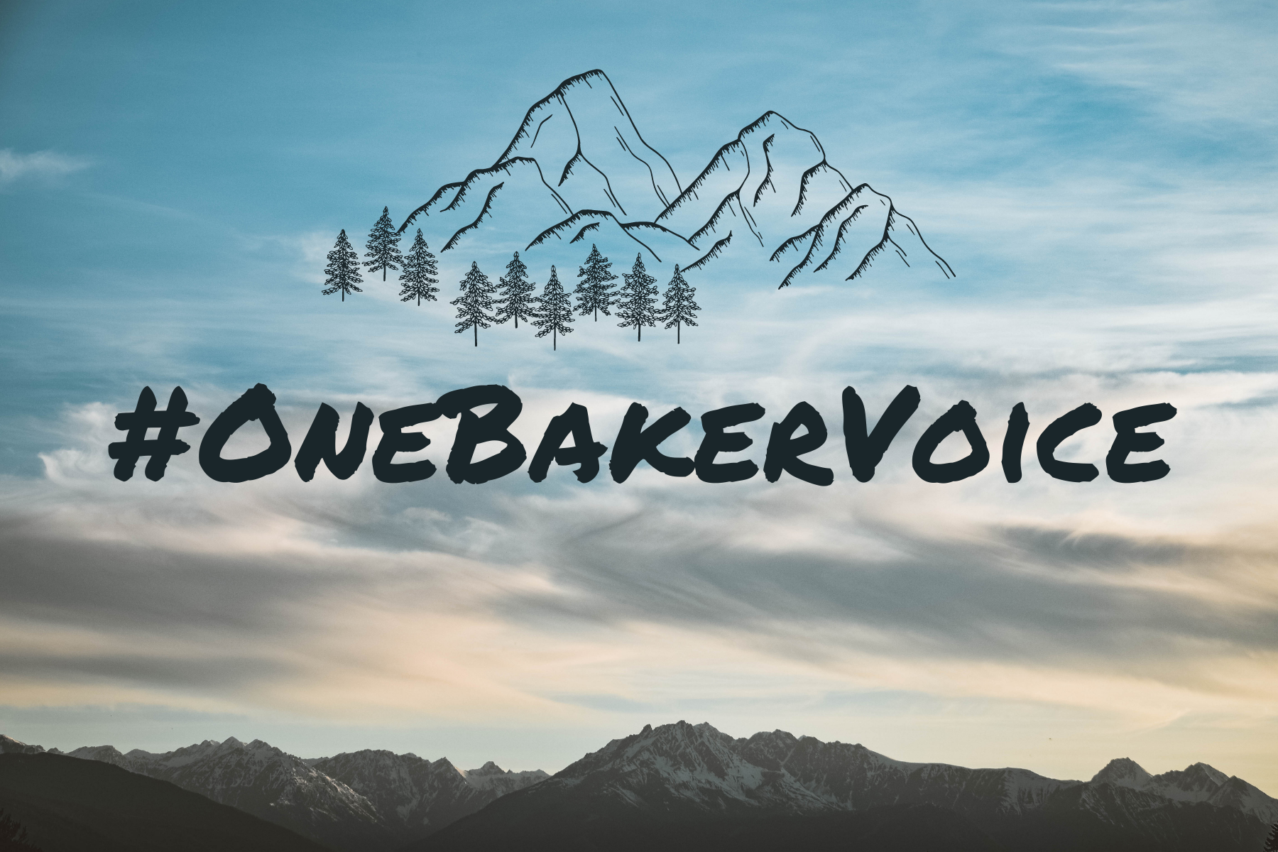 #OneBakerVoice
