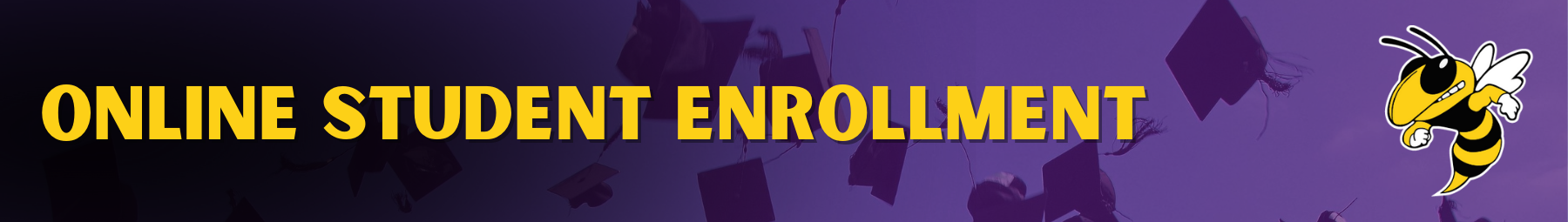 Online Student Enrollment