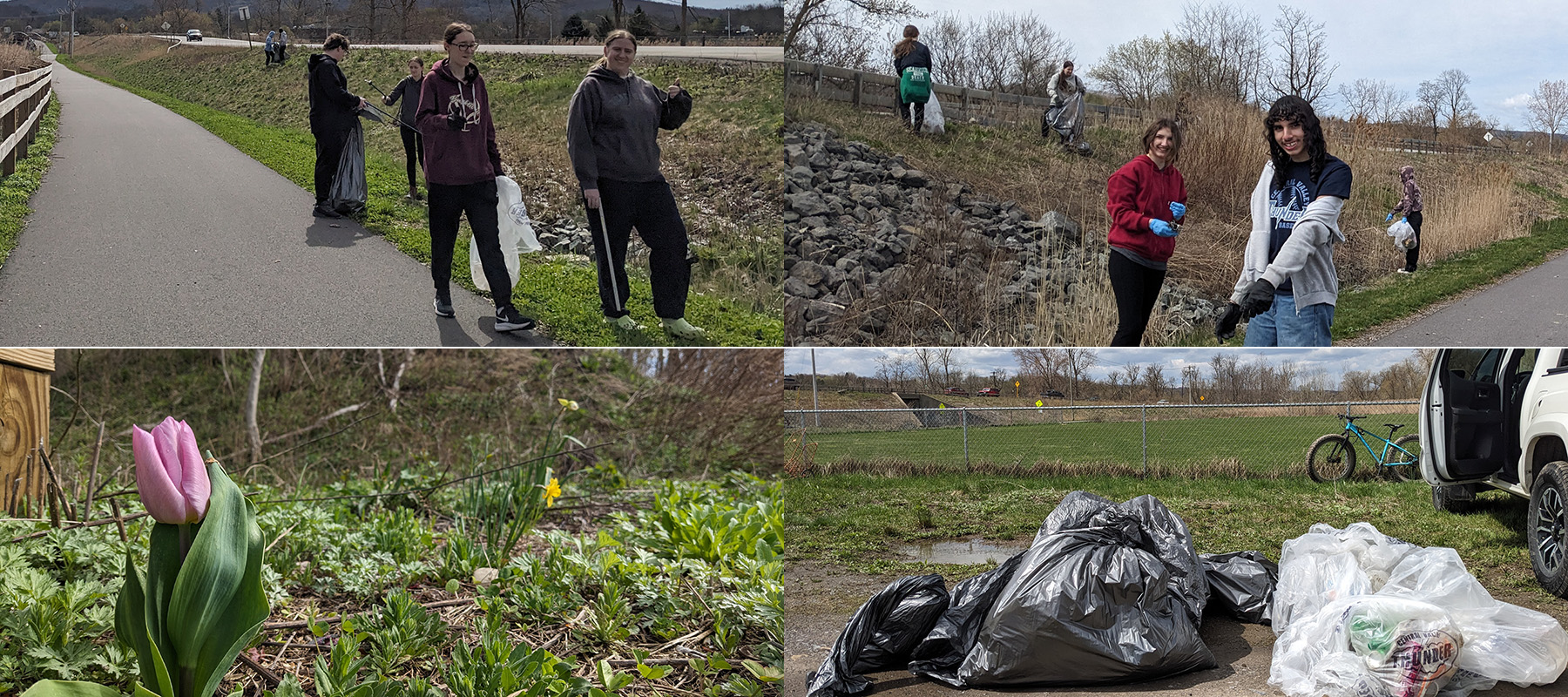 composite of students outdoors picking up trash, full trash bags, daffodil and tulip blossoms