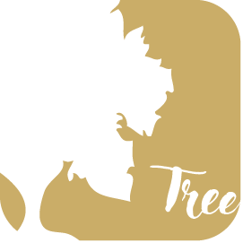 1594007620-Tree_og