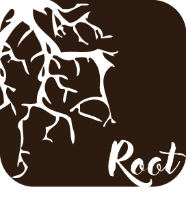 1594007650-Root
