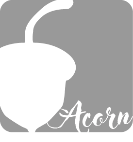 1594007683-acorn