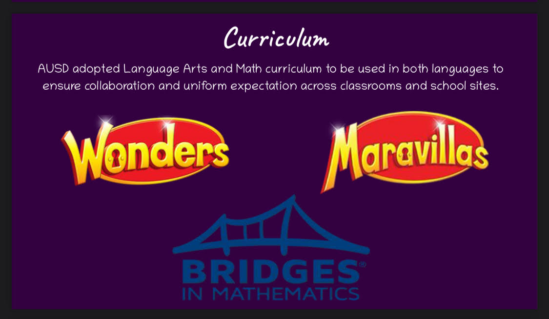 Curriculum