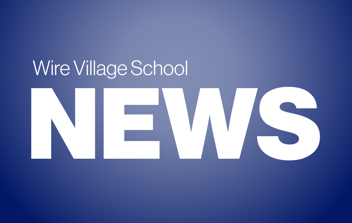 Wire Village School