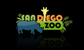 San Diego Zoo Cam