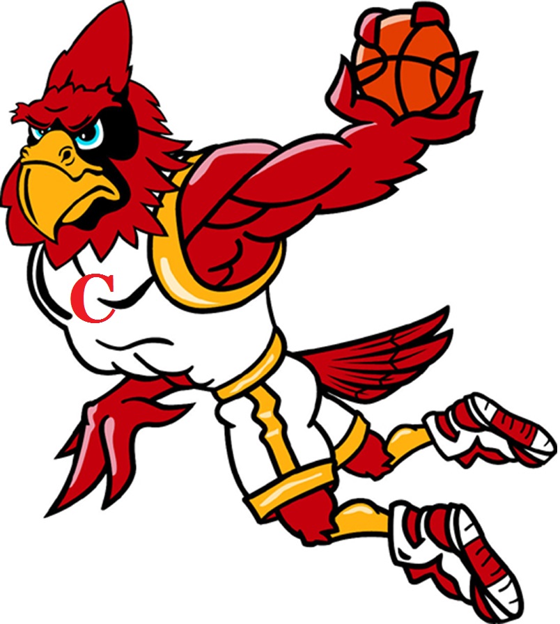 flying bball cardinal