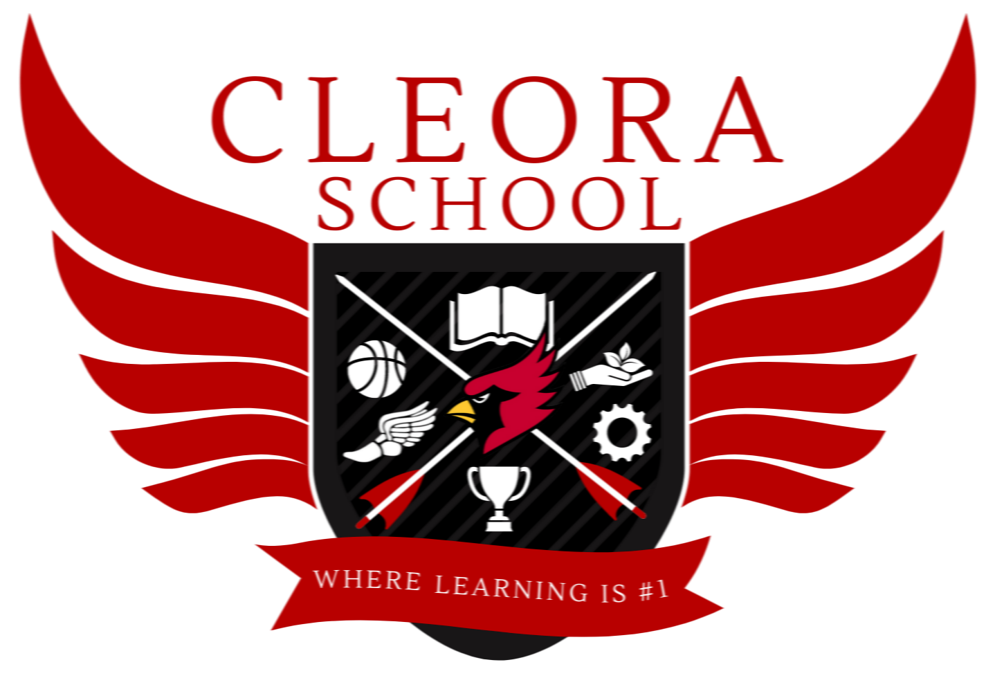 Bond Issue Cleora Public School