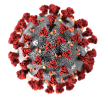 COVID 19 graphic