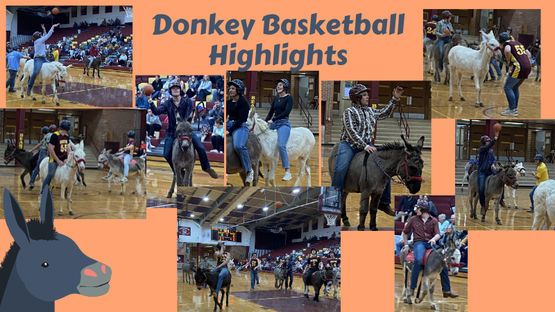Donkey Basketball Highlights