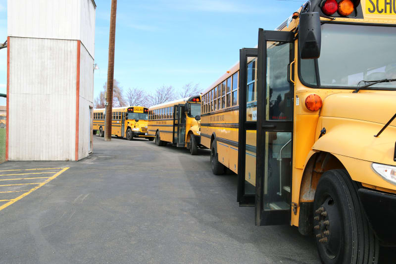 School Buses