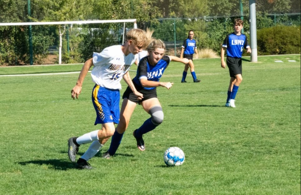 Soccer Picture