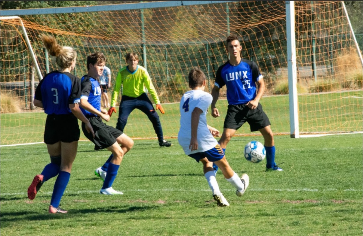 Soccer Picture