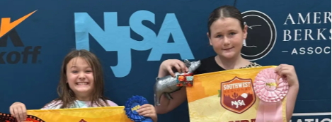 pig show