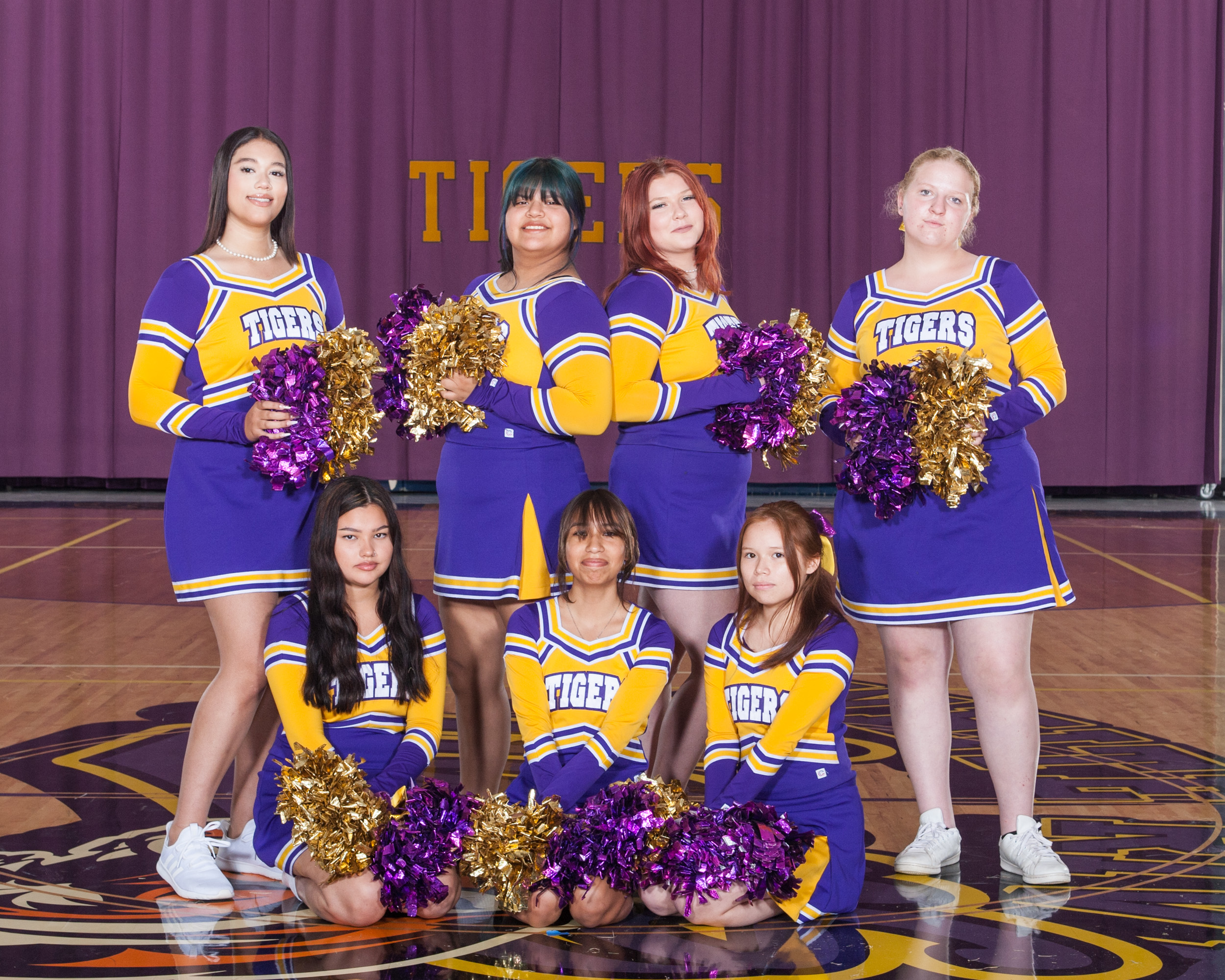 Sports Teams