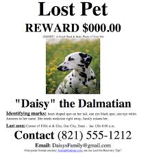 lost pet flyer