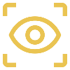 Vision and Hearing Information