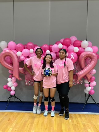 Volley for the Cure Photos