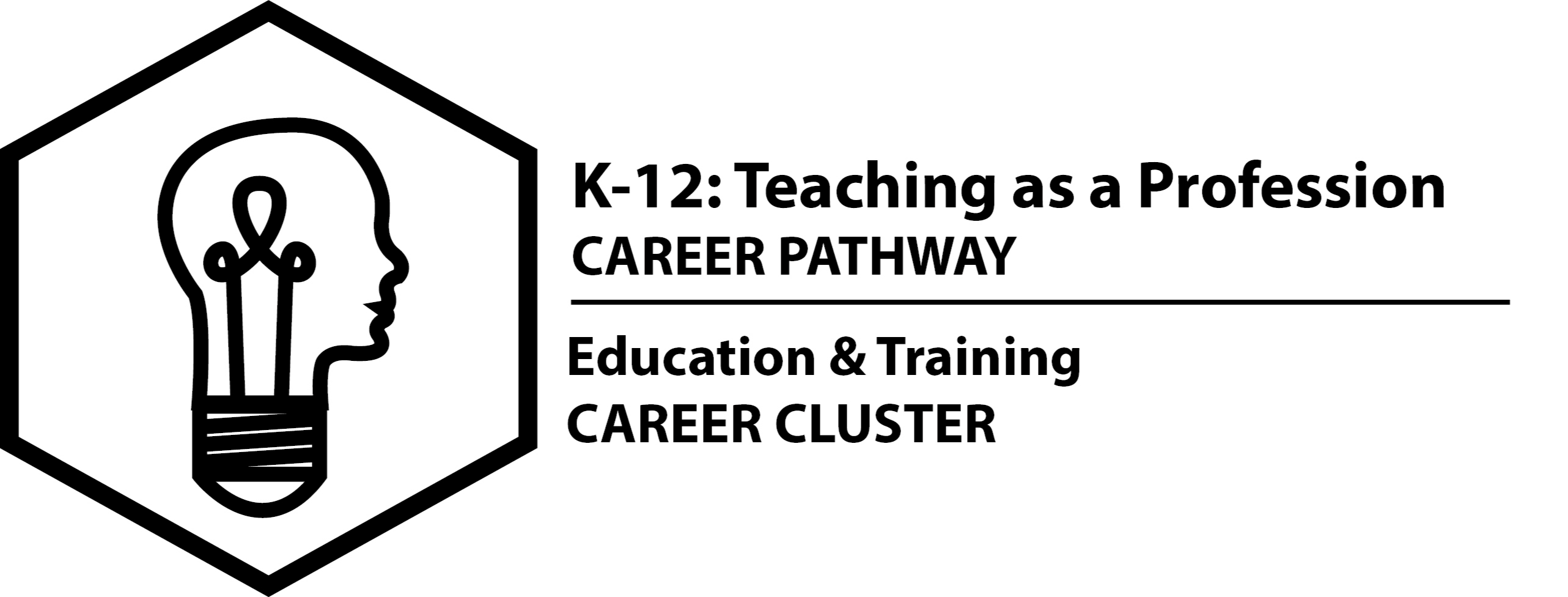 K-12: Teaching as a Profession