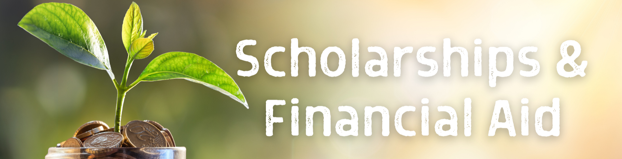 Scholarships and financial aid