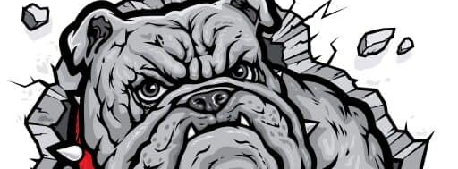 illustrated image of bulldog