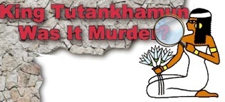 King Tutankhamun Was it Murder?