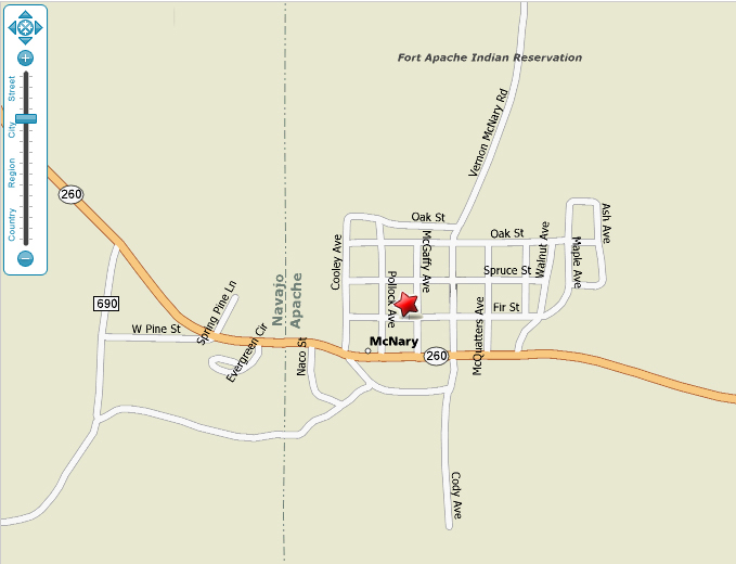Maps McNary Elementary School District