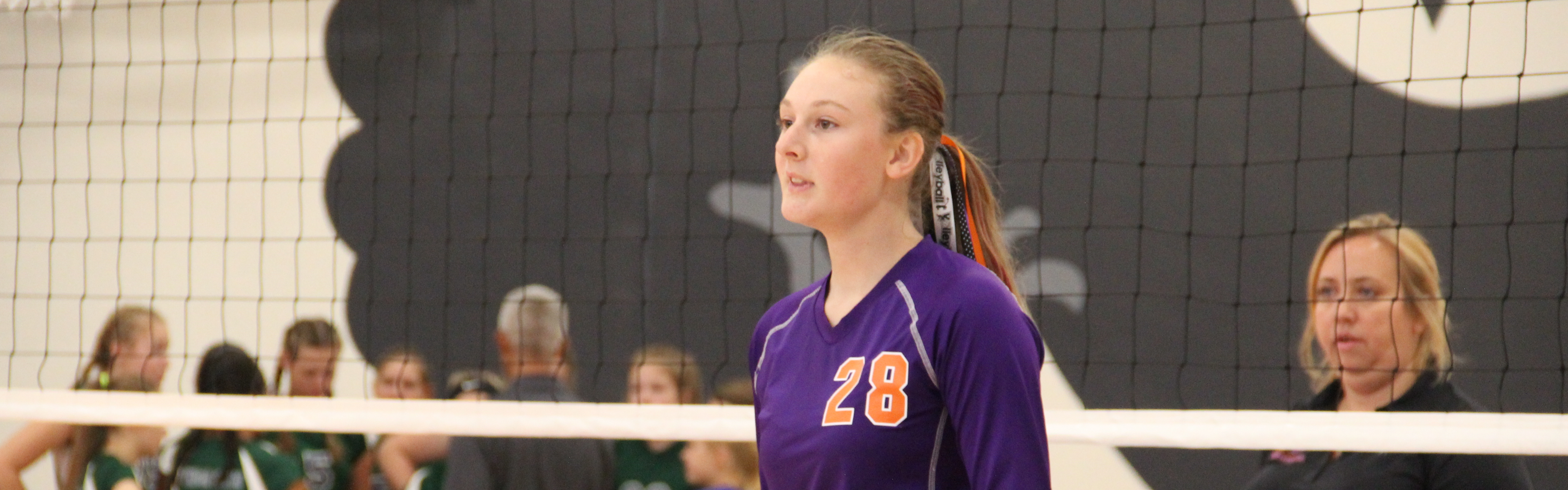 Volleyball