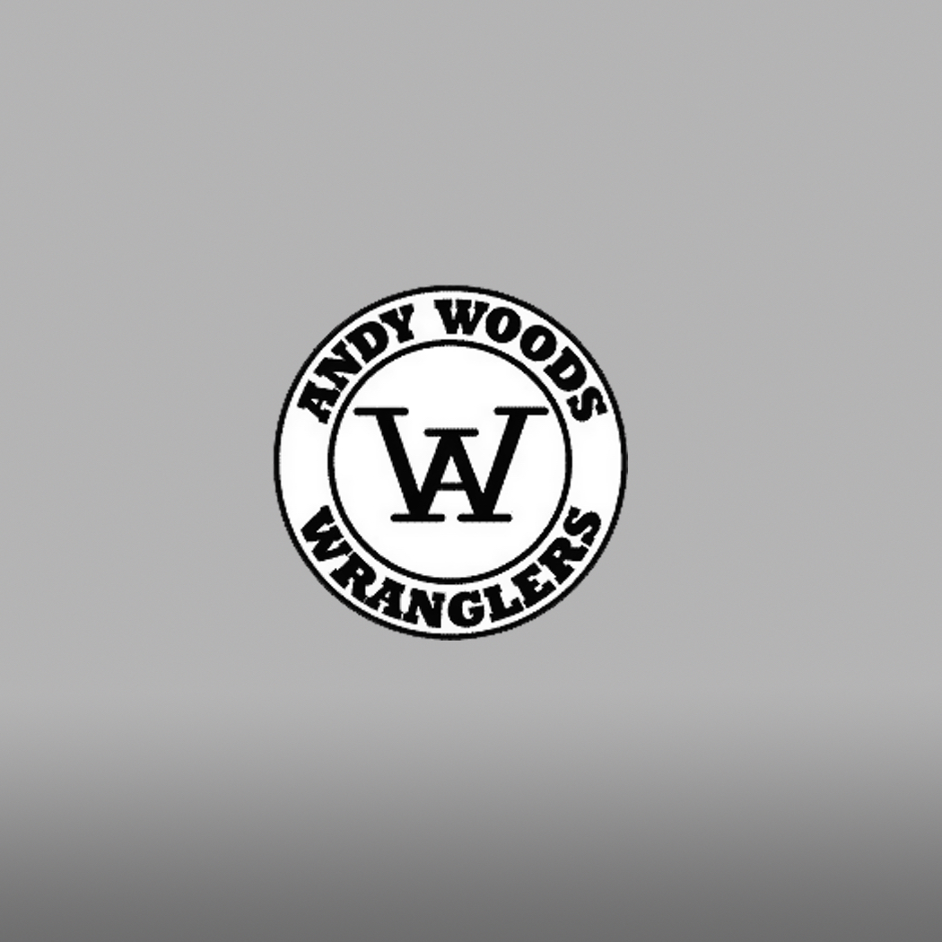 Woods Elementary Book Fair | Woods Elementary School