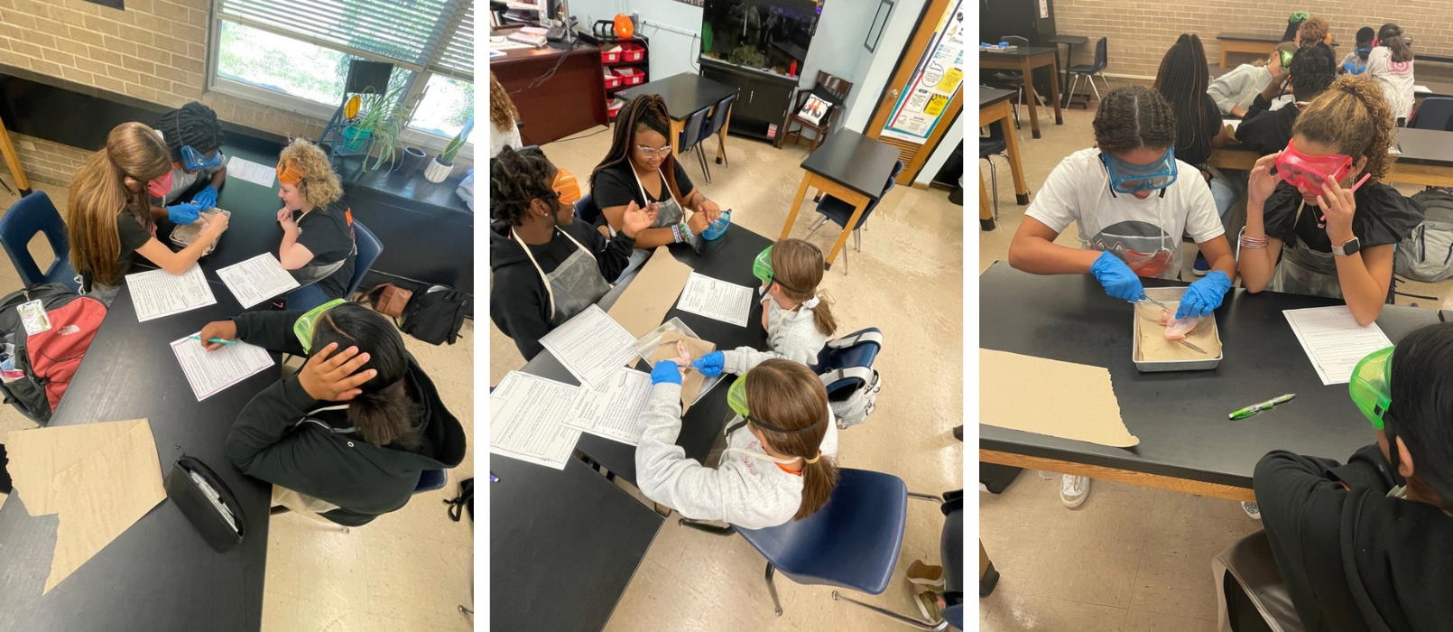 Hubbard Middle School Home