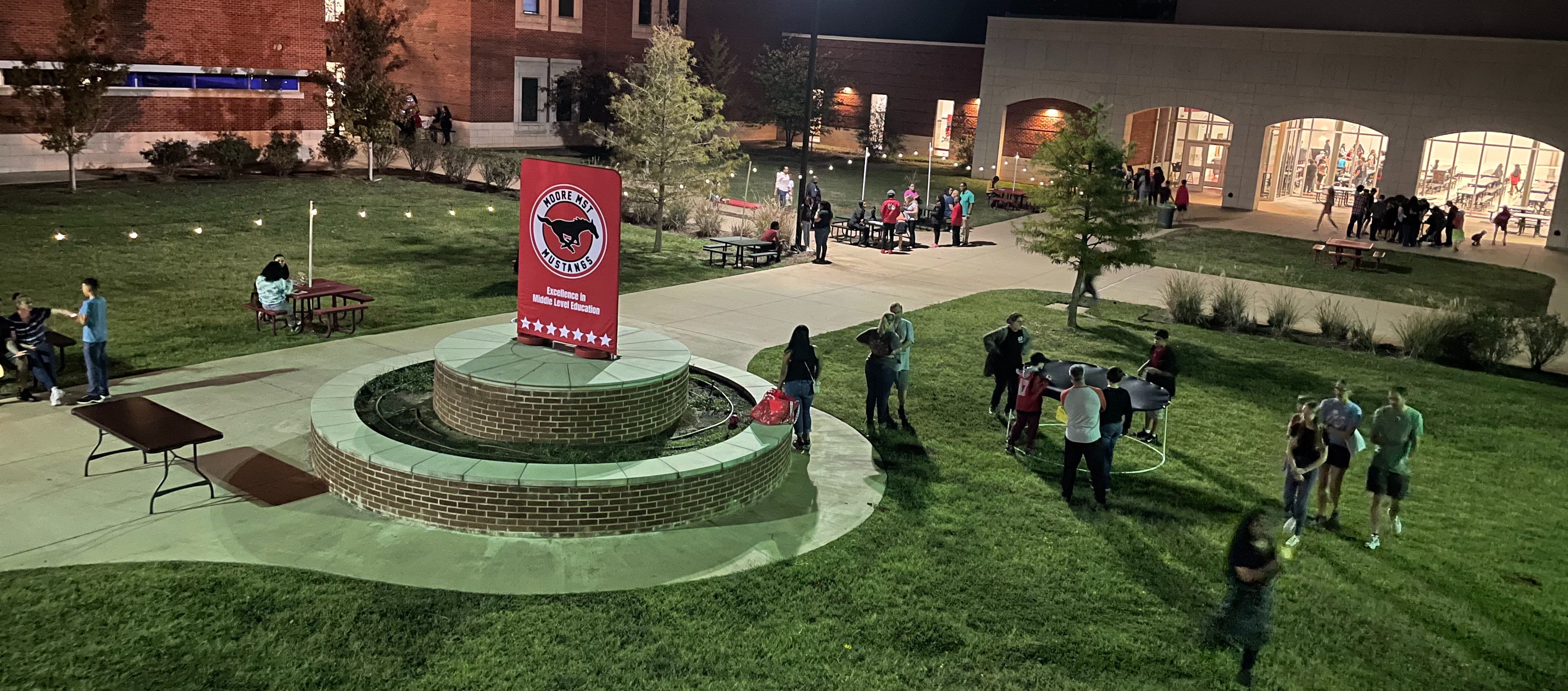 stem night outside view