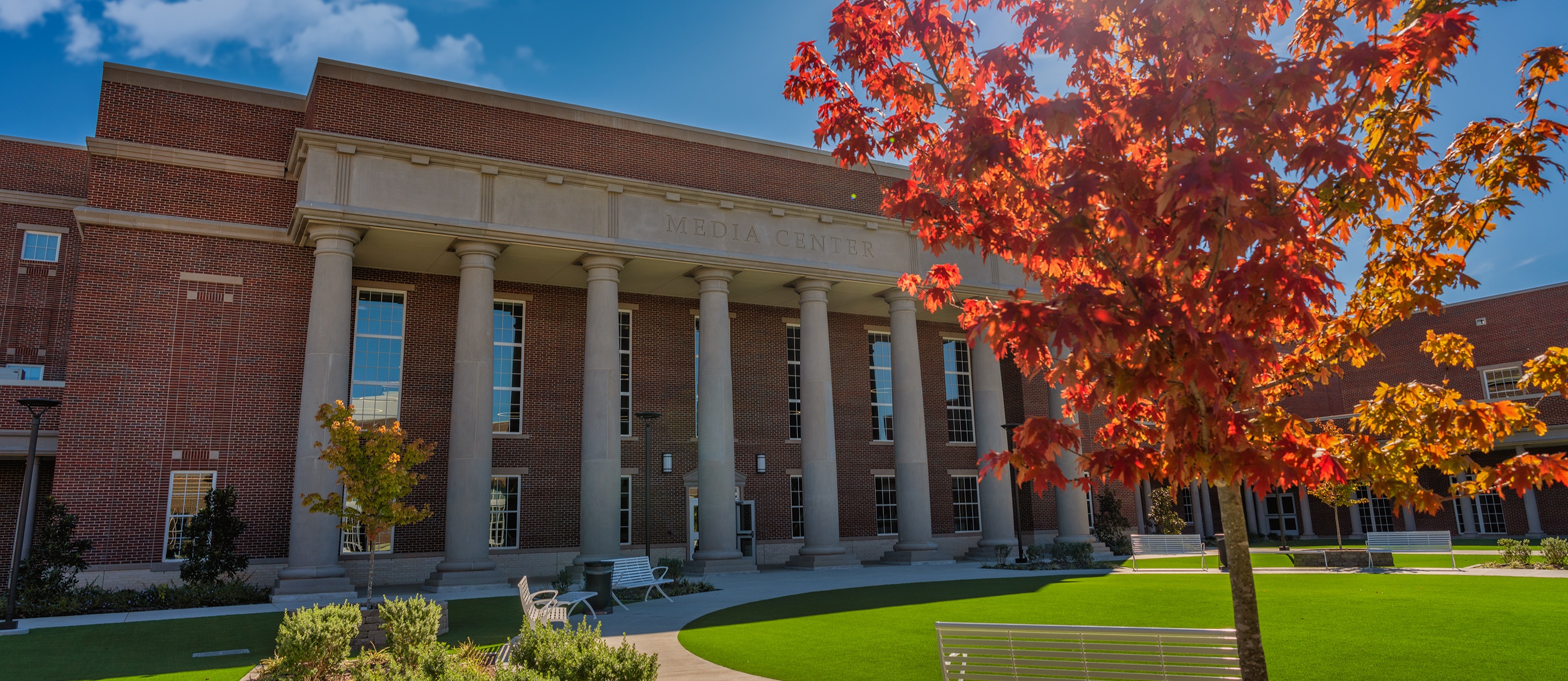 Tyler Legacy with fall tree