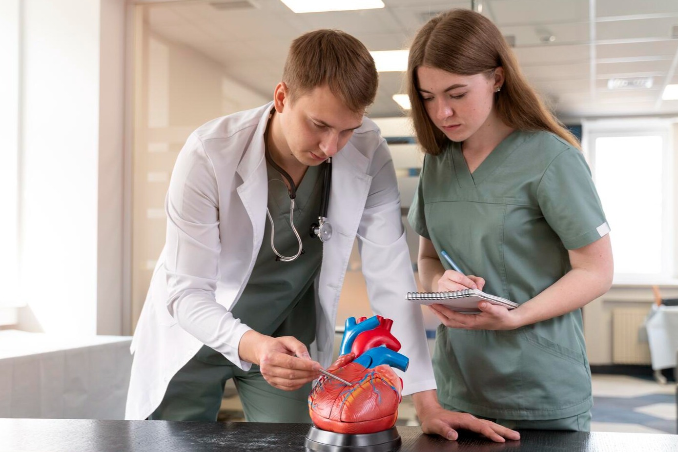 Students in a lab setting with white coats and scrubs, studying a model of a human heart.
