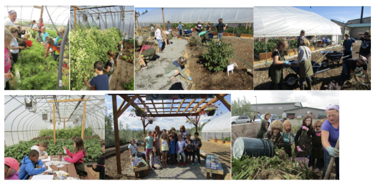 Students actively gardening