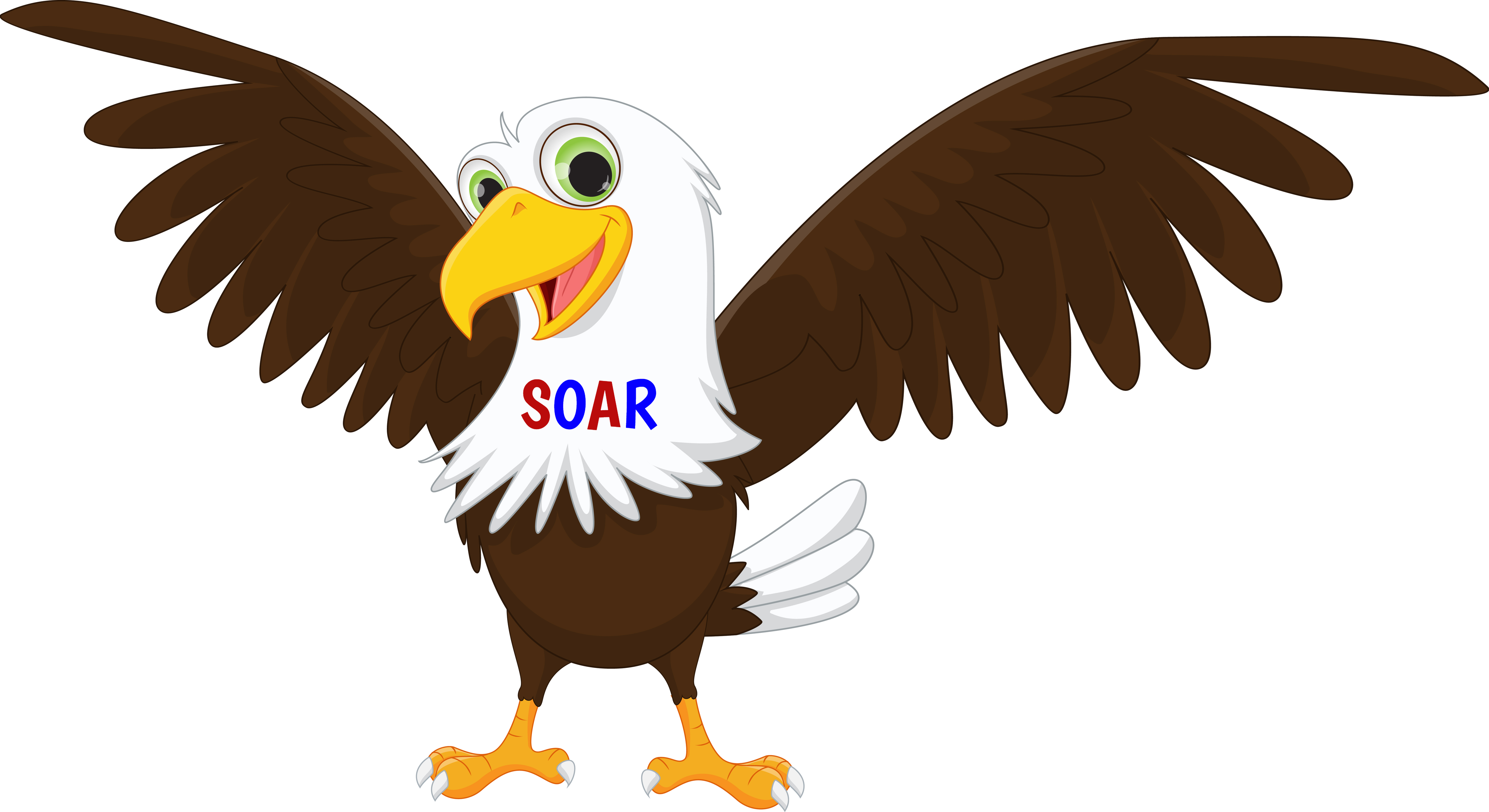 SOAR-eagle