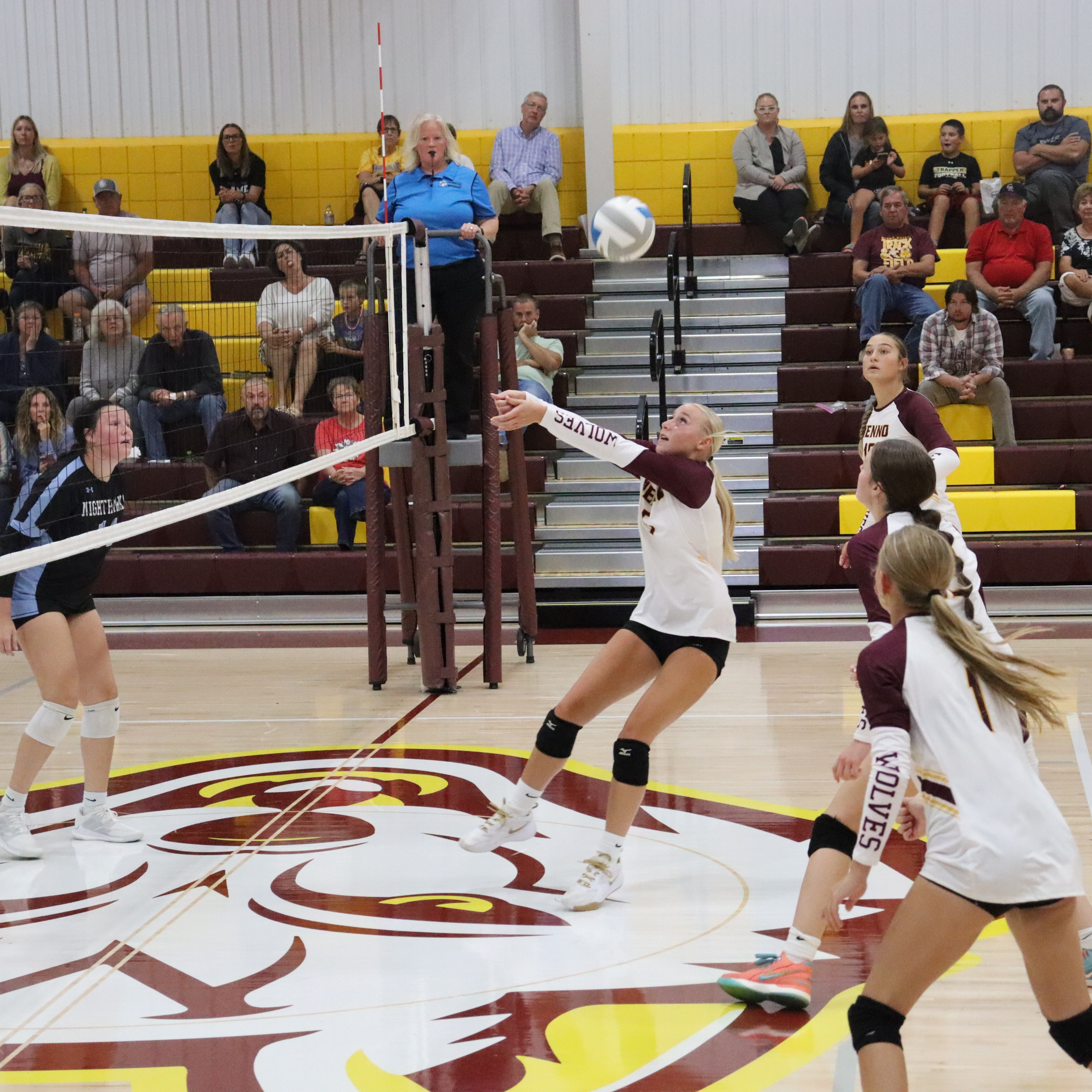 volleyball