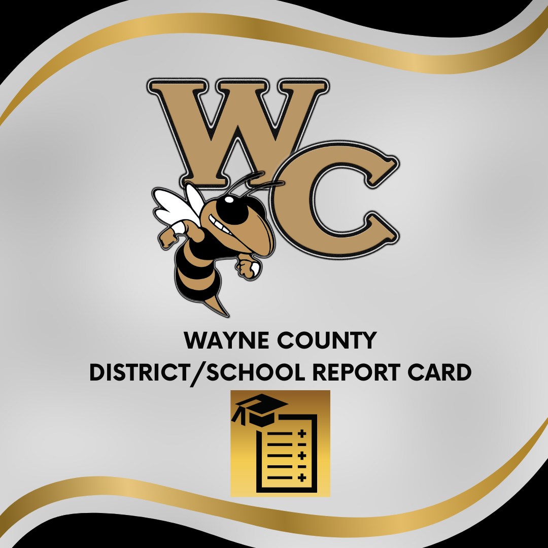 Wayne County District/School Report Card