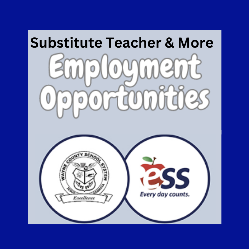 Substitue Employment Opportunities